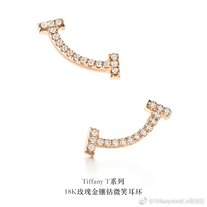 Tiffany earring 03lyx28